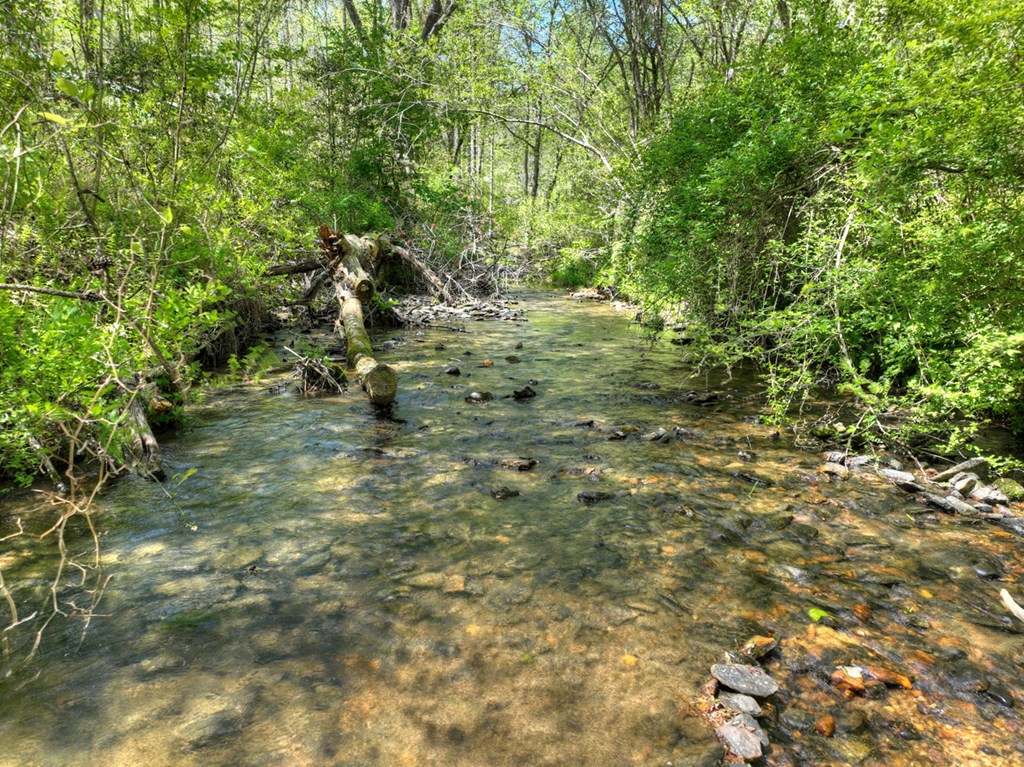 76 Bevan Lane East Blue Ridge, GA 30513 - Photo 27 of 62
