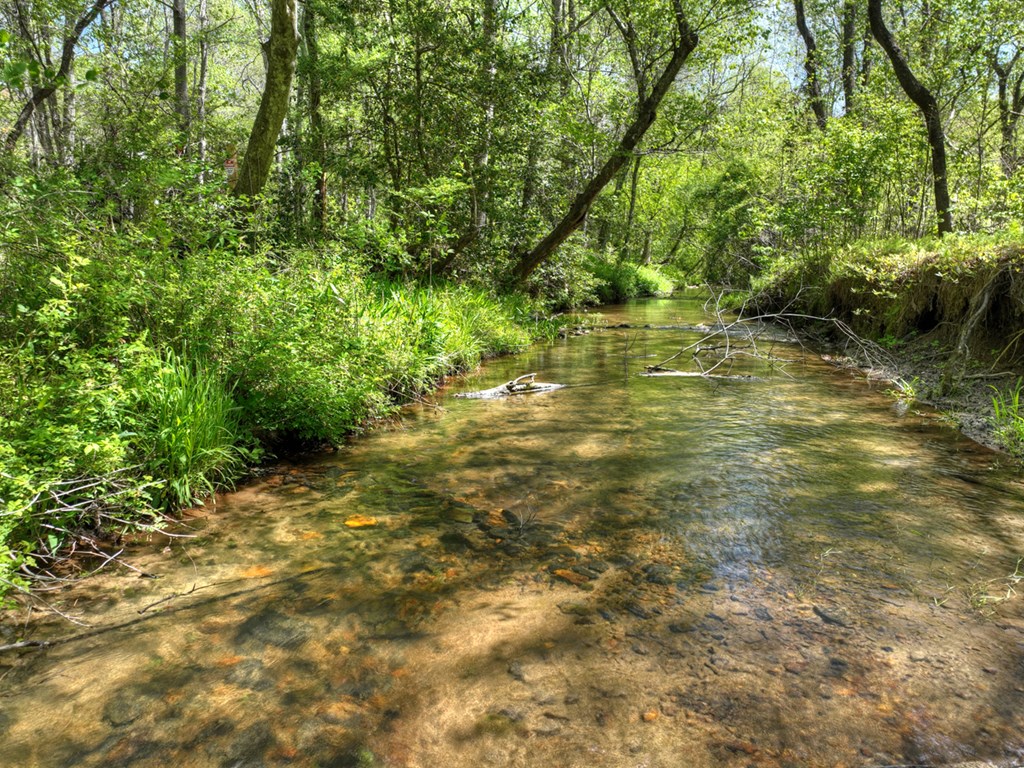 76 Bevan Lane East Blue Ridge, GA 30513 - Photo 3 of 62