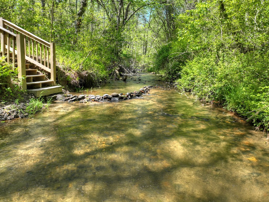 76 Bevan Lane East Blue Ridge, GA 30513 - Photo 4 of 62