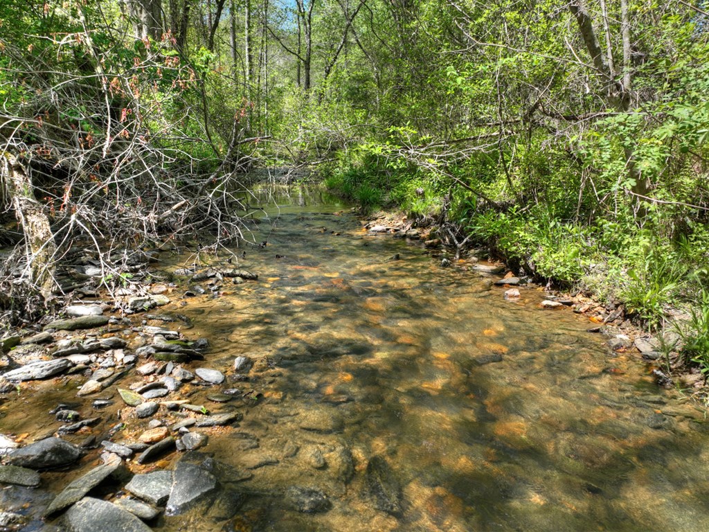 76 Bevan Lane East Blue Ridge, GA 30513 - Photo 48 of 62