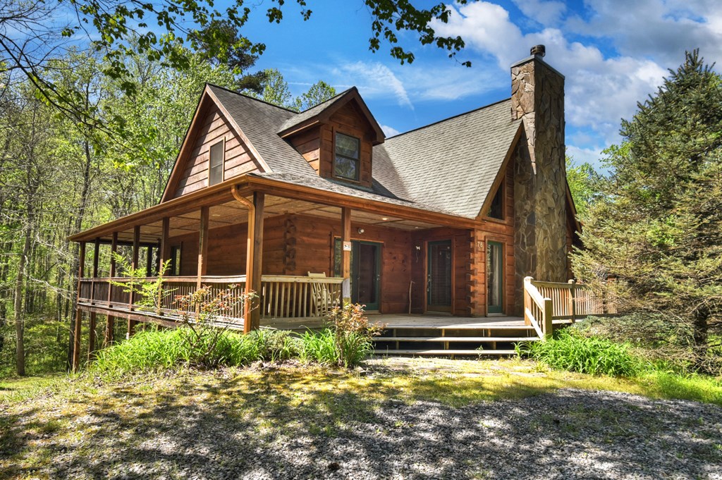 76 Bevan Lane East Blue Ridge, GA 30513 - Photo 5 of 62