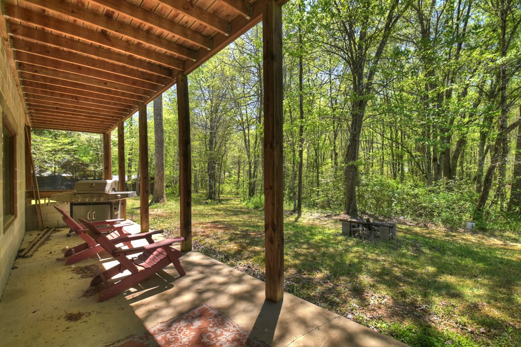 76 Bevan Lane East Blue Ridge, GA 30513 - Photo 59 of 62