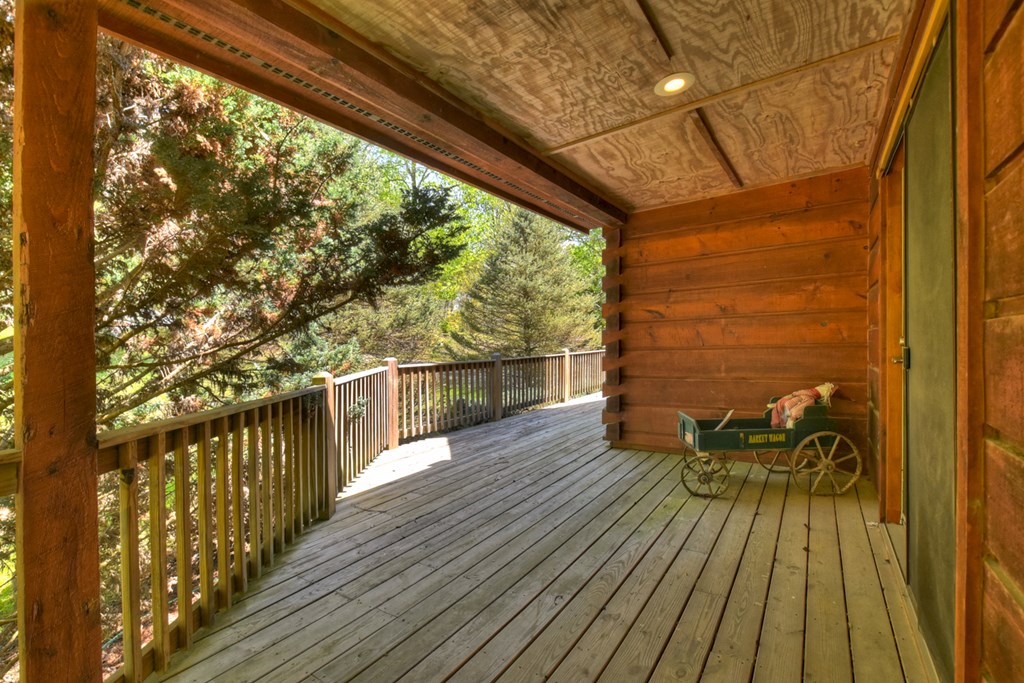 76 Bevan Lane East Blue Ridge, GA 30513 - Photo 9 of 62