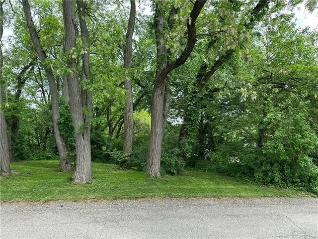 a view of outdoor space and yard