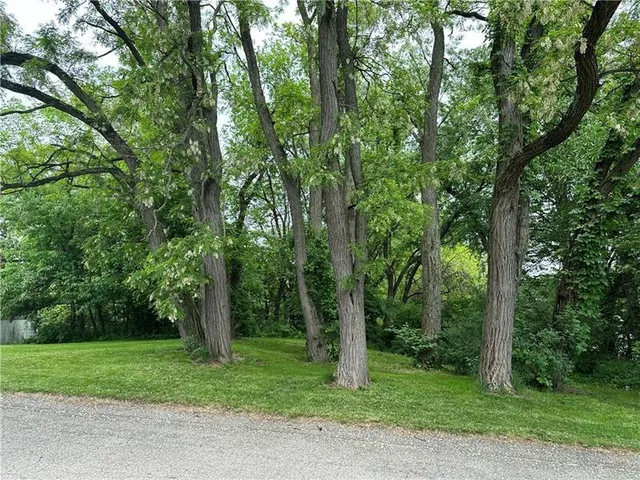 a view of a yard with a trees
