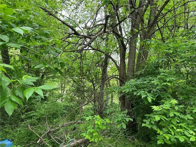 a backyard of a house with lots of swings