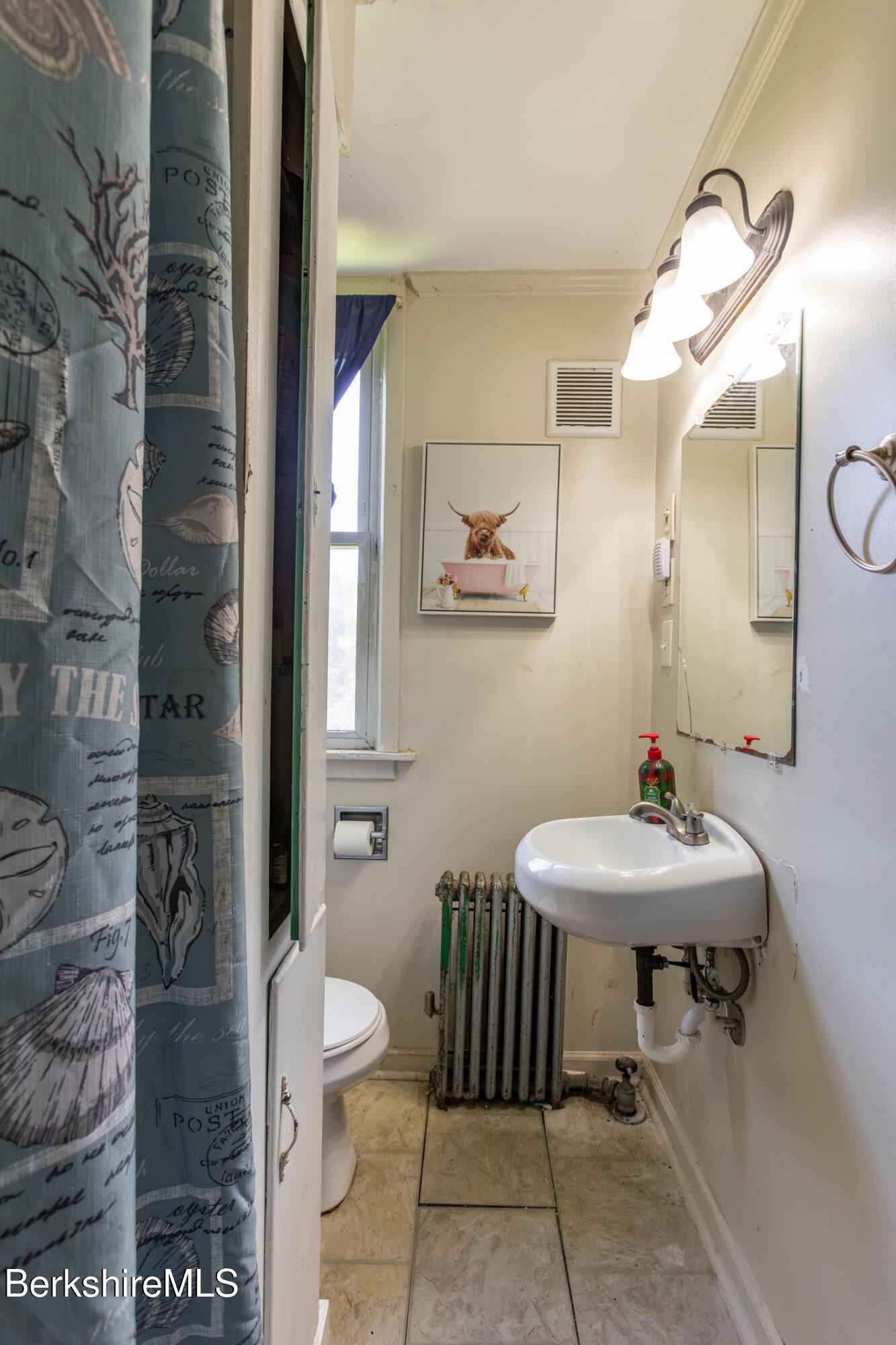 89-91 Pecks Road Pittsfield, MA 01201 - Photo 26 of 28 a bathroom with a sink a toilet and a mirror