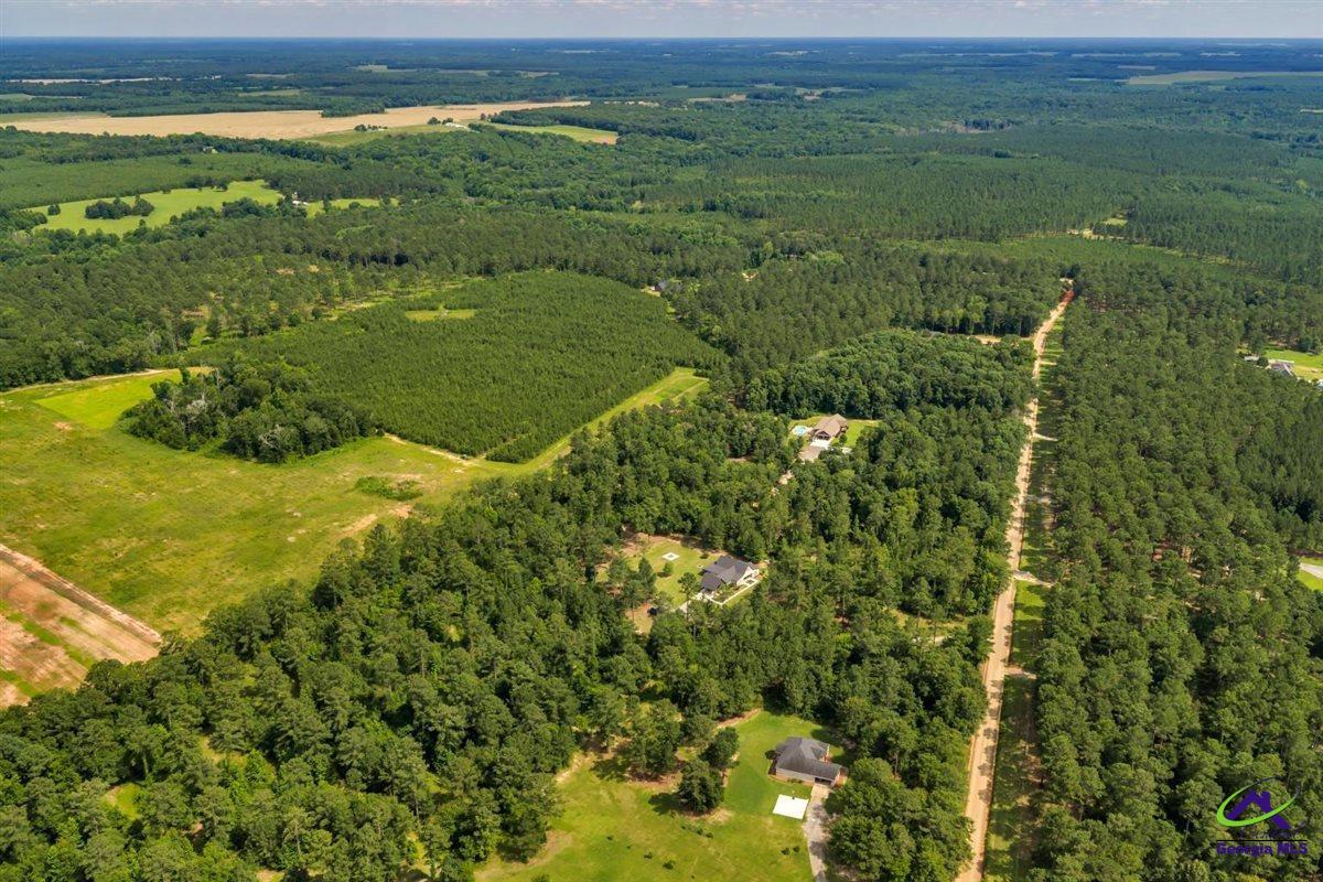 111 Brown Hill Road Elko, GA 31025 - Photo 66 of 74