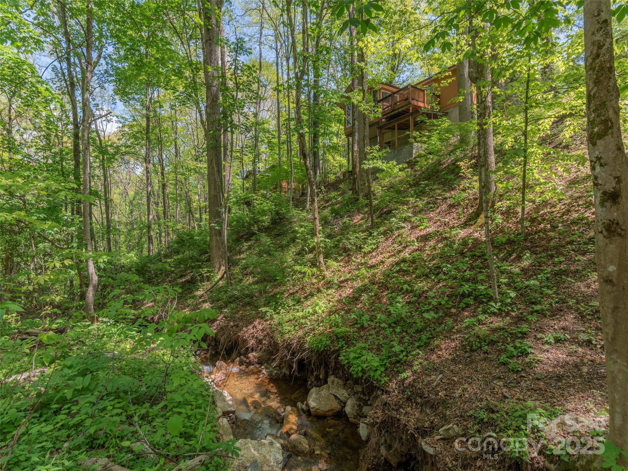 120 Blue Jay Loop Maggie Valley, NC 28751 - Photo 6 of 23