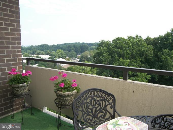 1800 Old Meadow Road, Unit 1213 McLean, VA 22102 - Photo 19 of 29 View from Unit