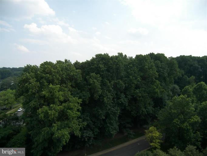 1800 Old Meadow Road, Unit 1213 McLean, VA 22102 - Photo 20 of 29 Exterior #2