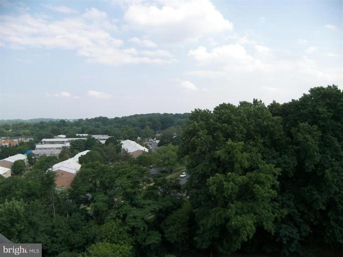 1800 Old Meadow Road, Unit 1213 McLean, VA 22102 - Photo 29 of 29 City View 1