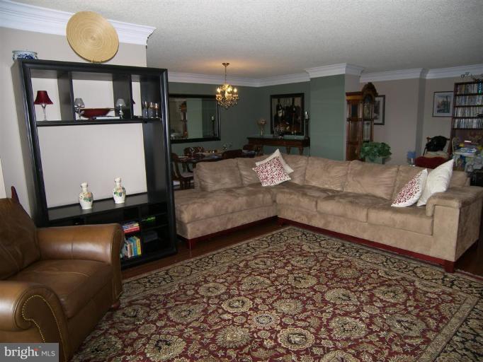 1800 Old Meadow Road, Unit 1213 McLean, VA 22102 - Photo 6 of 29 Living Room #3