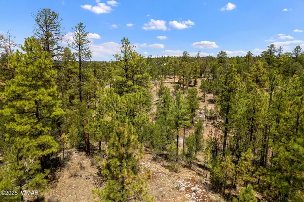 $525,000 | 2975 Canary Lane, Heber, AZ 85928