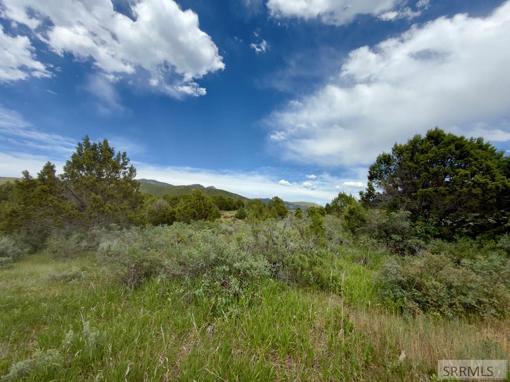Tbd Fish Creek Road Lava Hot Springs, ID 83246 - Photo 43 of 44