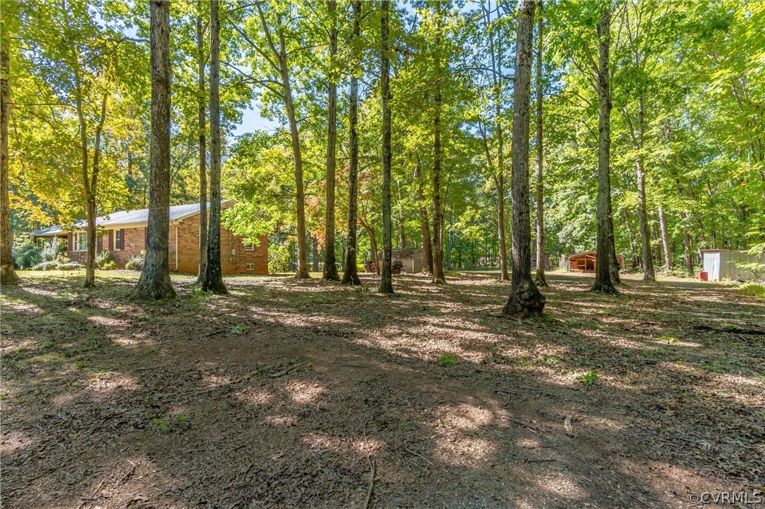 5250 Buffalo Road Dillwyn, VA 23936 - Photo 4 of 30 a view of yard with trees