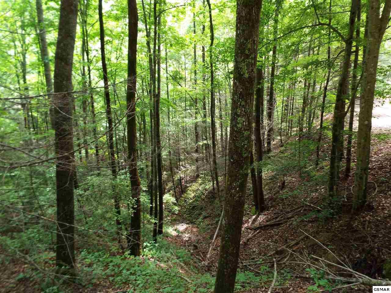 15 Meadow View Road Sevierville, TN 37862 - Photo 11 of 24