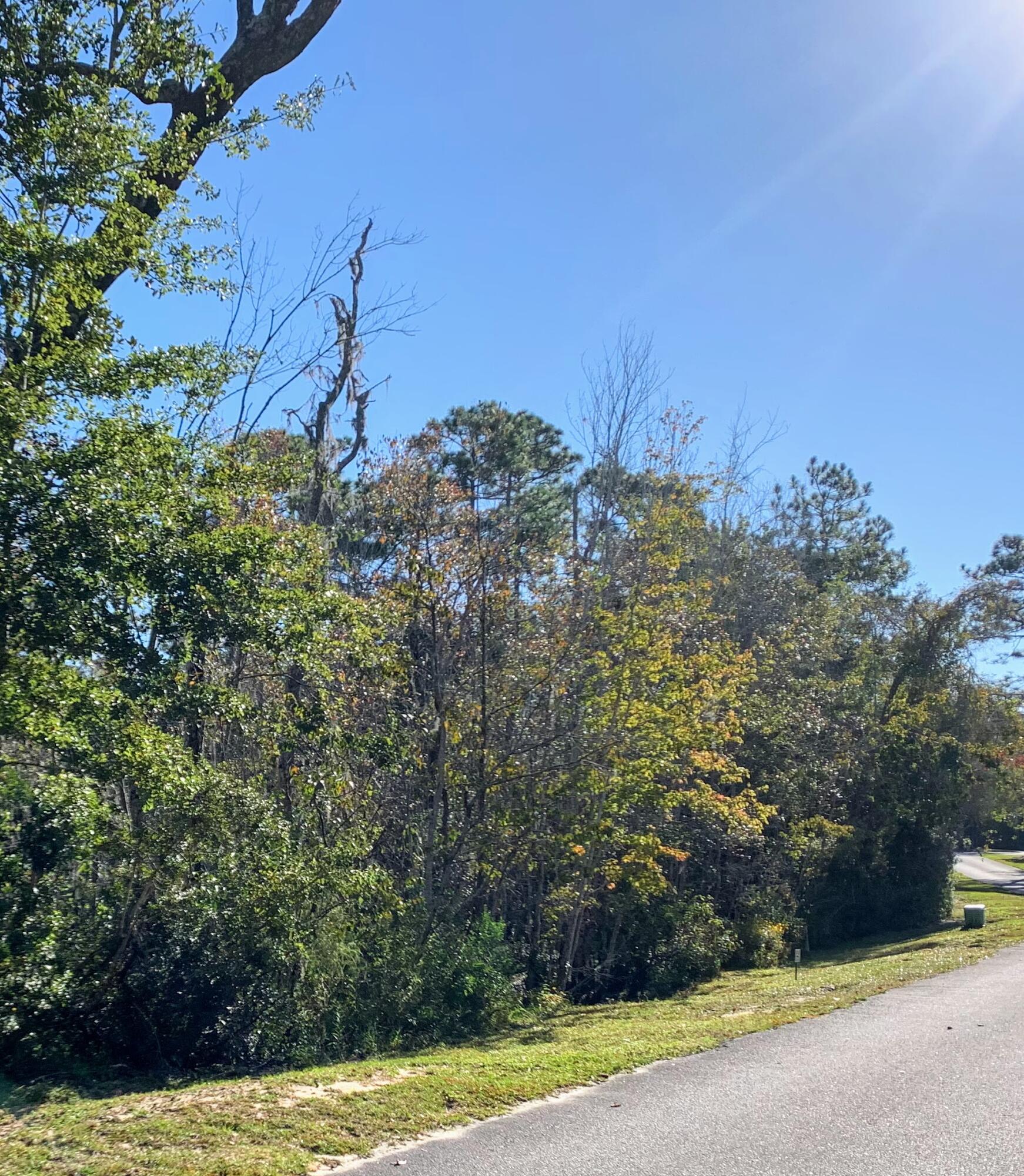 Lot 53 South Sunset Harbour Freeport, FL 32439 - Photo 14 of 23 BH Lot
