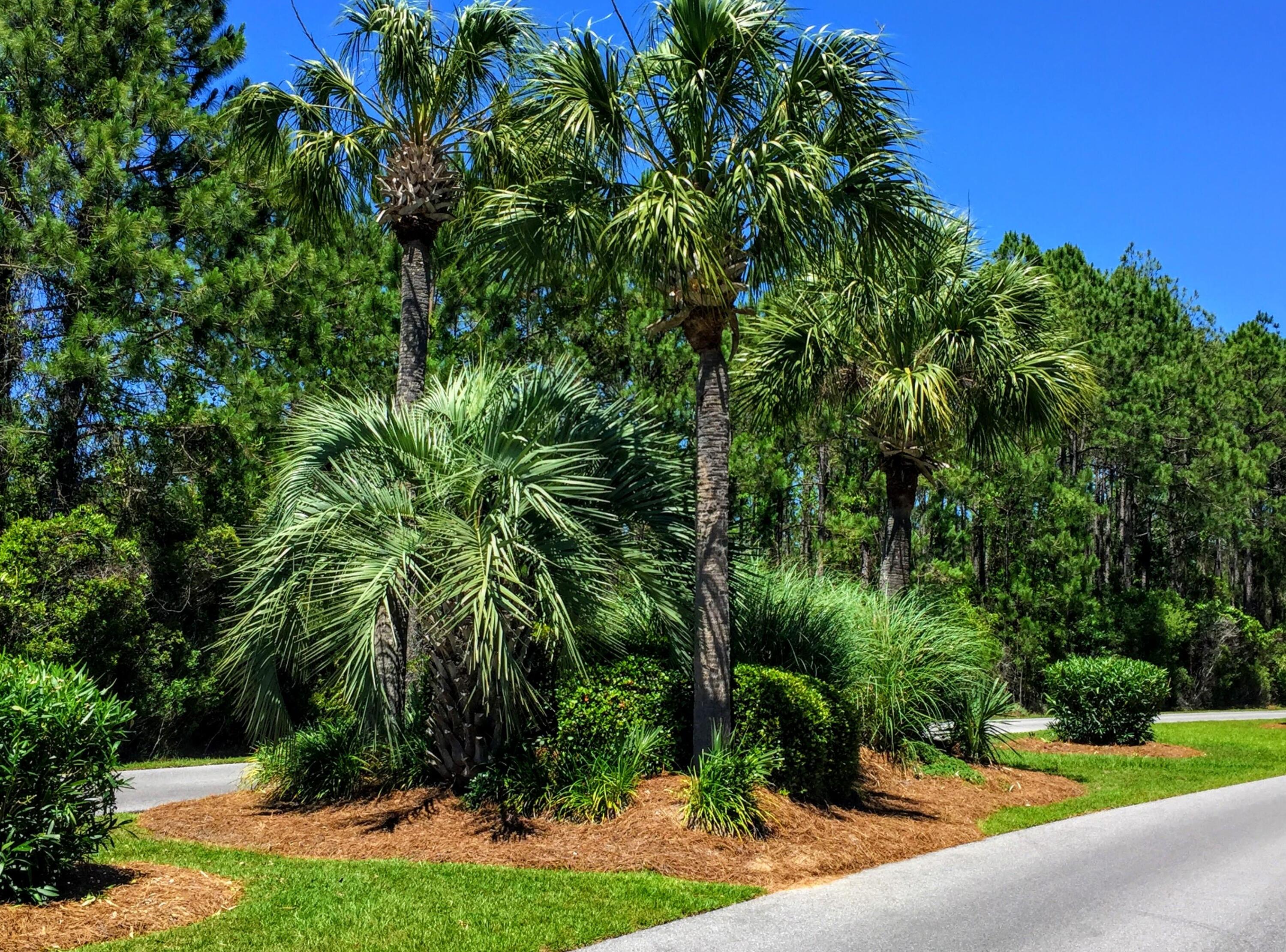 Lot 53 South Sunset Harbour Freeport, FL 32439 - Photo 17 of 23 Bay Harbour Blvd - 3