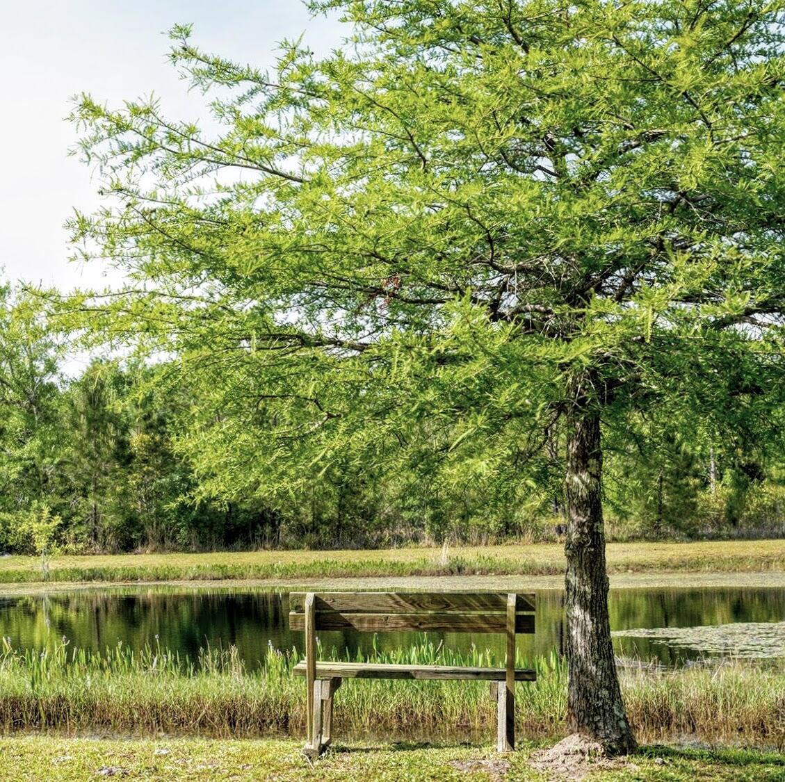 Lot 53 South Sunset Harbour Freeport, FL 32439 - Photo 20 of 23 Bay Harbour Community pond and park benc