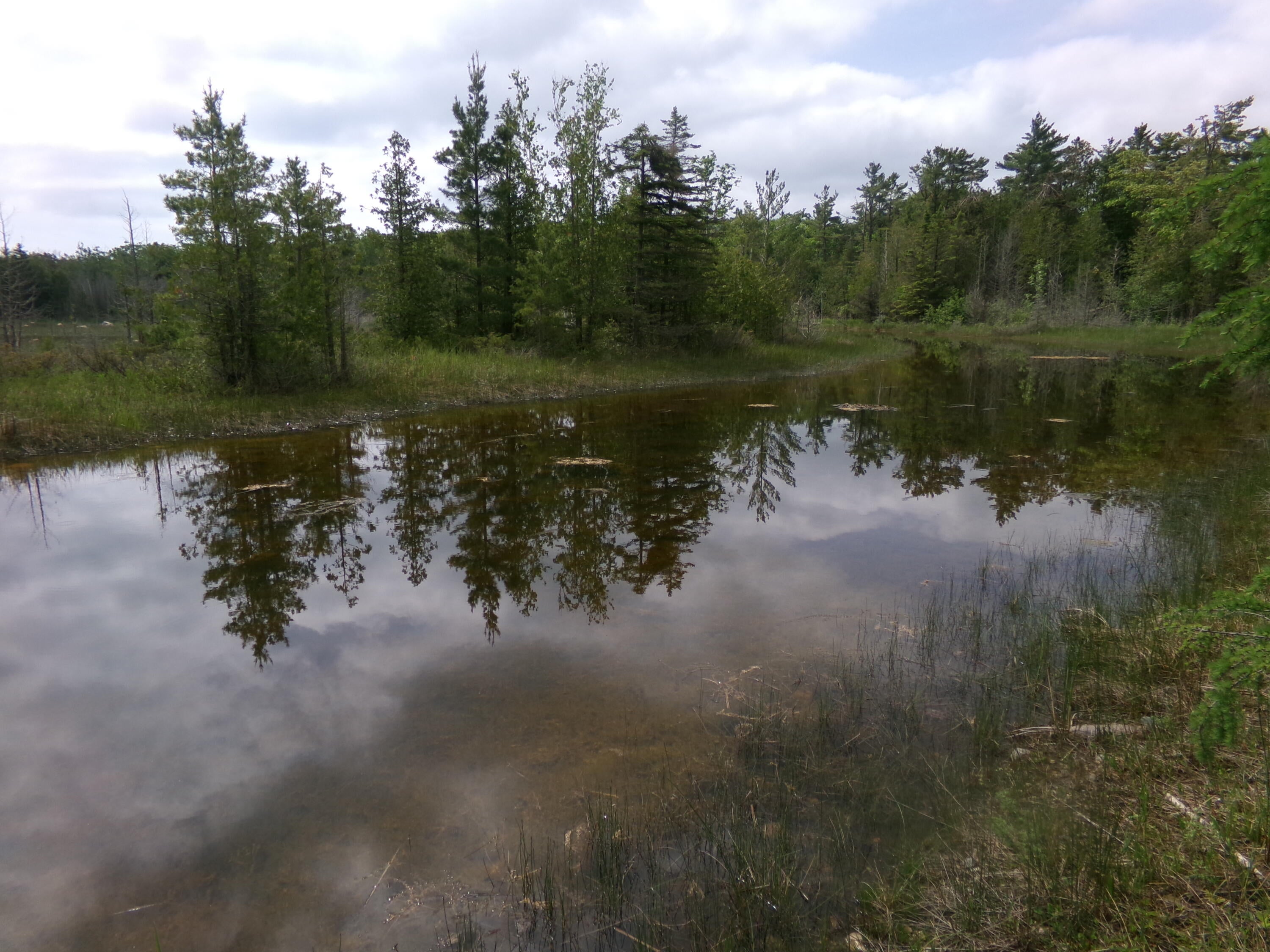 3305 El Cajan Road Alpena, MI 49707 - Photo 14 of 20
