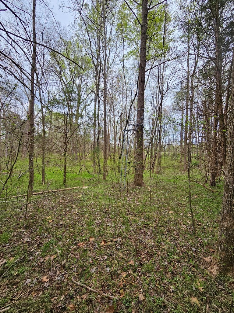 307 10 Holly Farms Road Rice, VA 23966 - Photo 17 of 27 Gallery Image 17