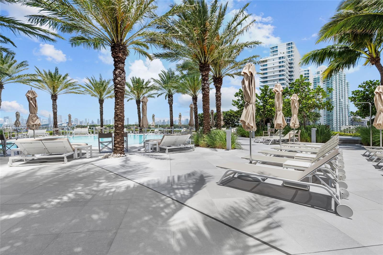 450 Alton Road, Unit 3106 Miami Beach, FL 33139 - Photo 32 of 40 a row of palm trees and a lawn chair under palm trees