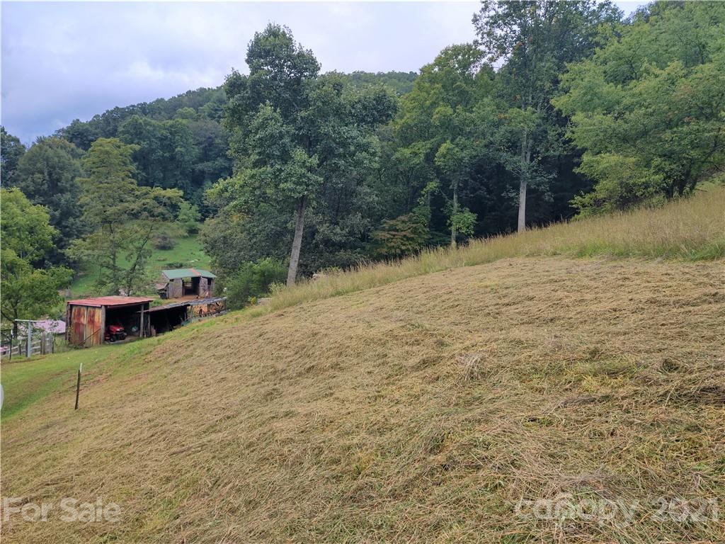 1731 Chambers Mountain Road Clyde, NC 28721 - Photo 32 of 37