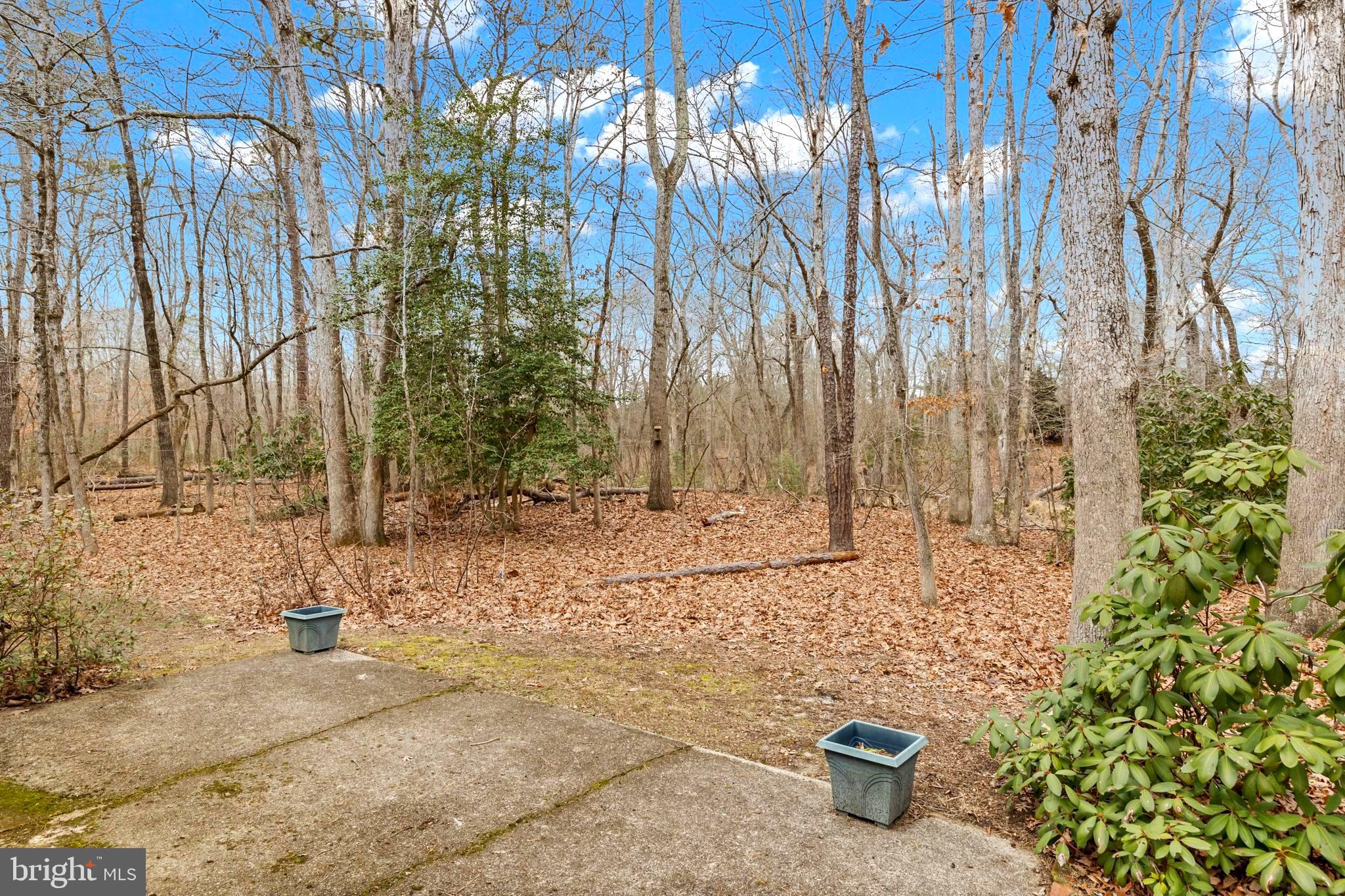 8 Rye Court Shamong, NJ 08088 - Photo 16 of 18