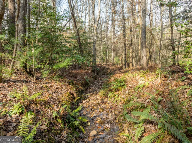 $625,000 | 789 Jolley Way, Epworth, GA 30541