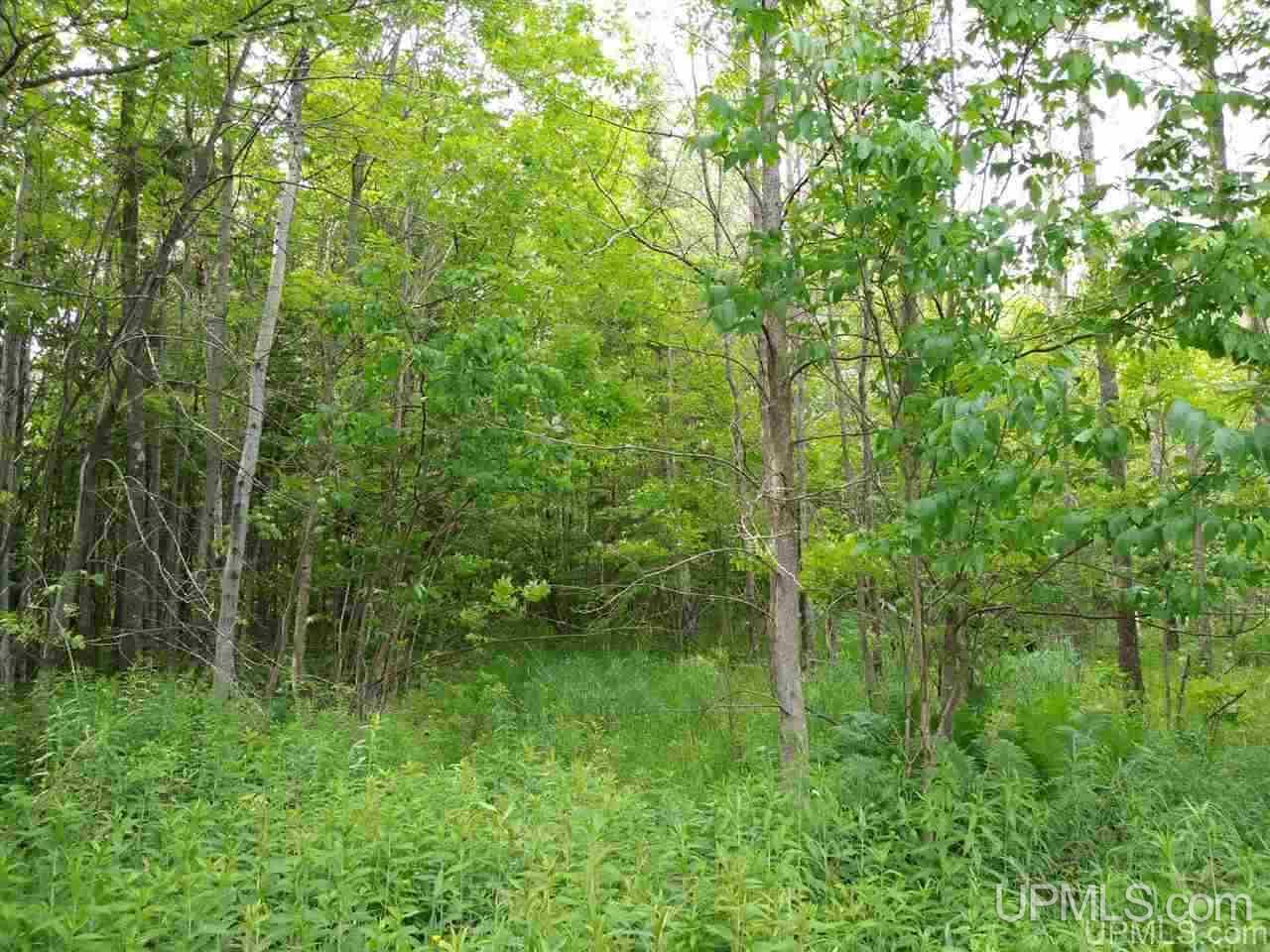 9816 Co Road Rapid River, MI 49878 - Photo 18 of 19 Gallery Image 18