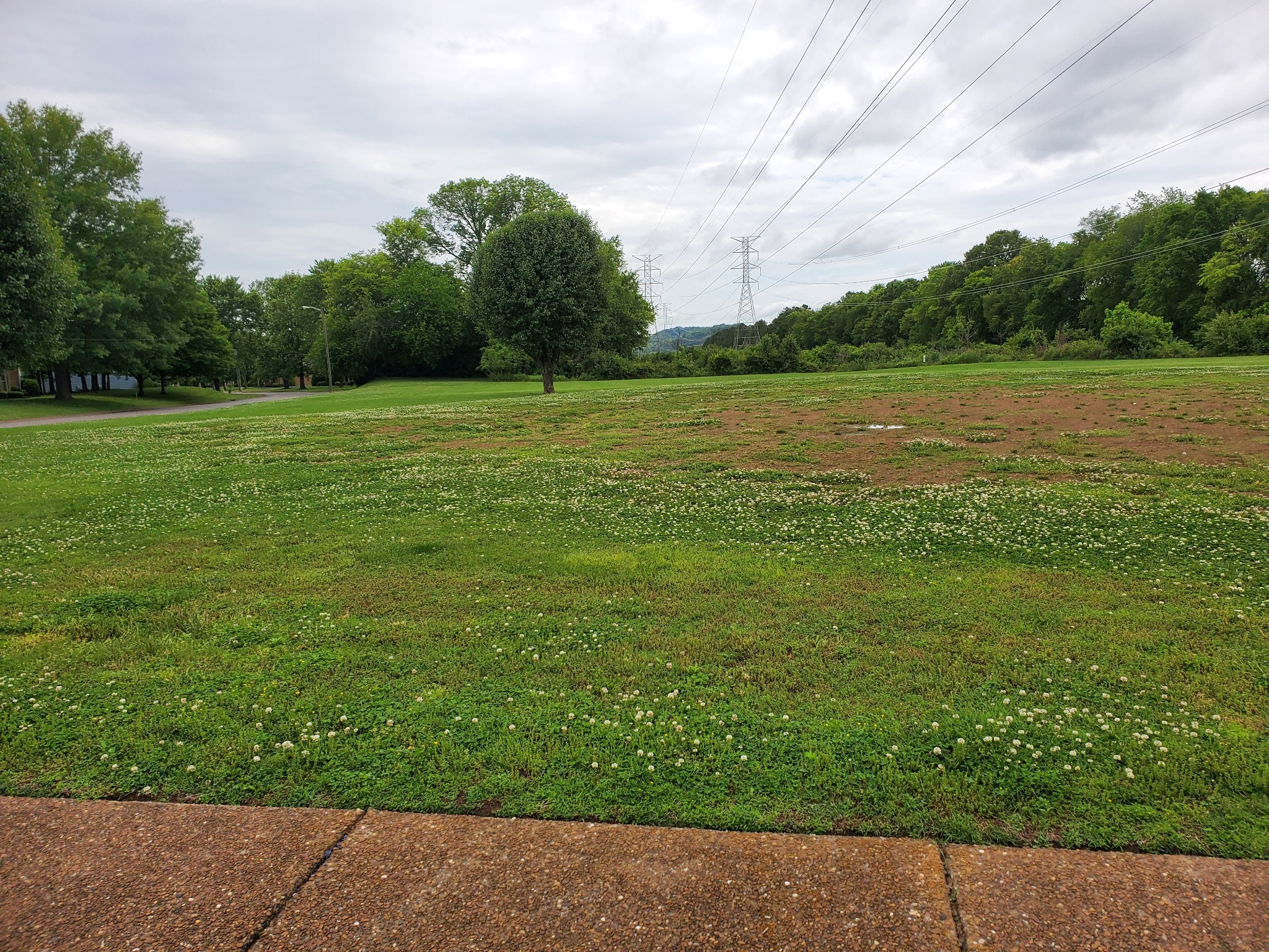 712 General George Patton Road Nashville, TN 37221 - Photo 33 of 35 a view of a garden with a building