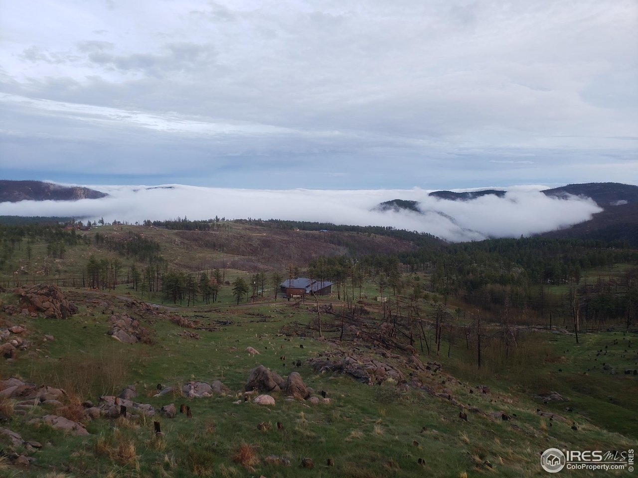4119 Davis Ranch Road Bellvue, CO 80512 - Photo 4 of 40 a view of a lake with mountains in the background