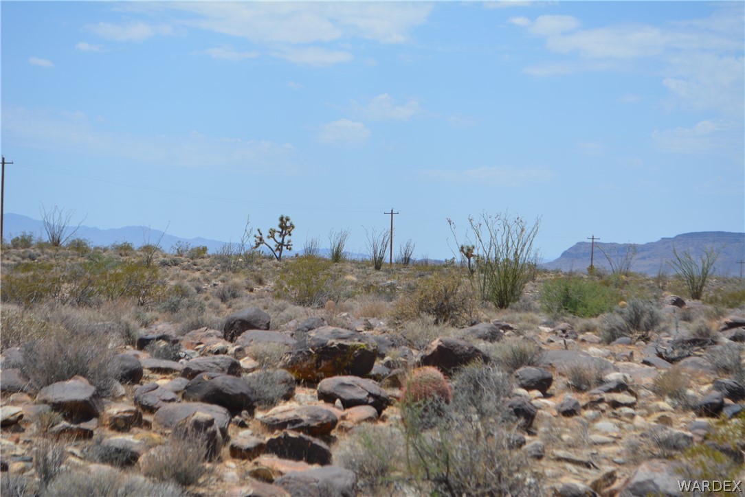 208-24-134 Cameron Road Yucca, AZ 86438 - Photo 46 of 86
