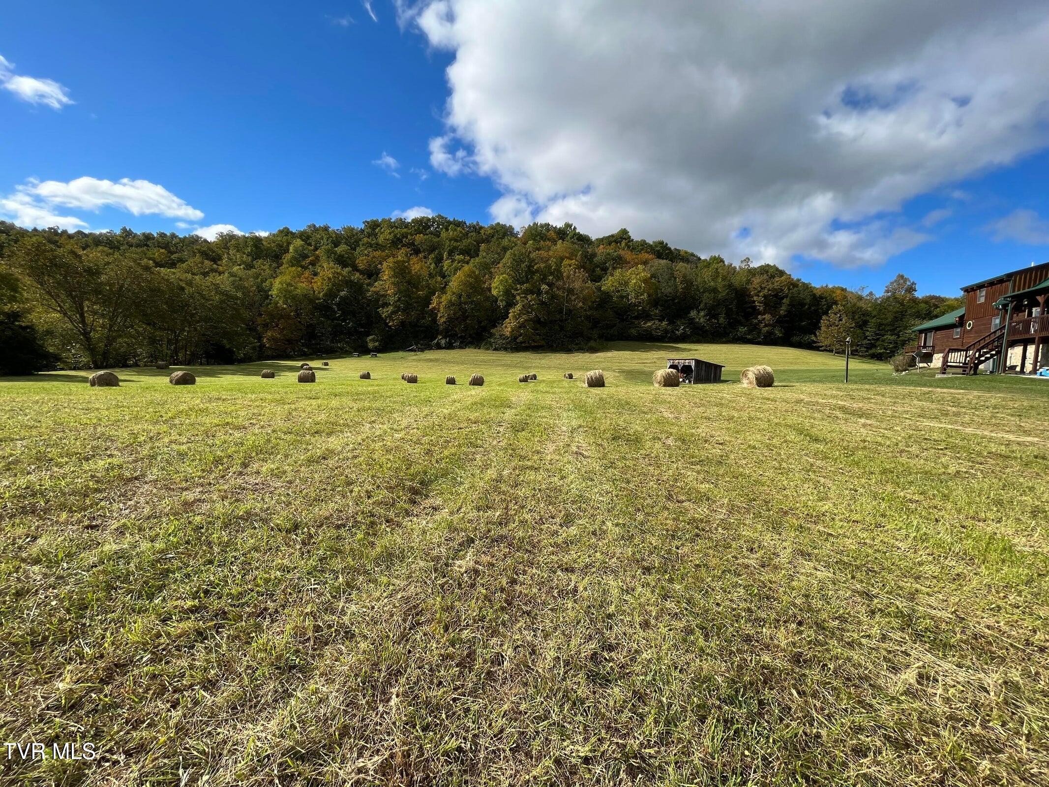 3038 Shavers Ford Road Pennington Gap, VA 24277 - Photo 4 of 66 20230307151851383789000000-o