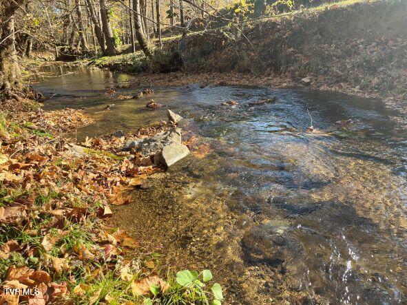 3038 Shavers Ford Road Pennington Gap, VA 24277 - Photo 5 of 66 20230307151332163926000000-o