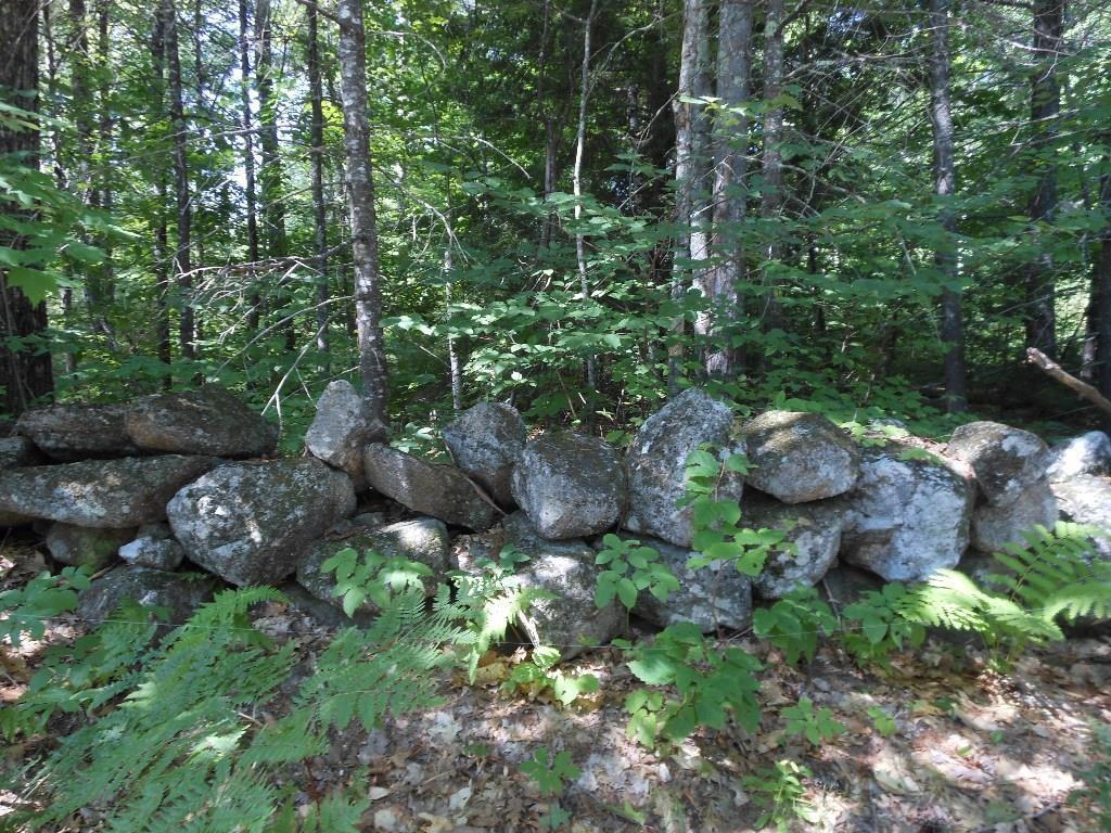 4 A Rocky Knoll Road Denmark, ME 04022 - Photo 8 of 10 Photo