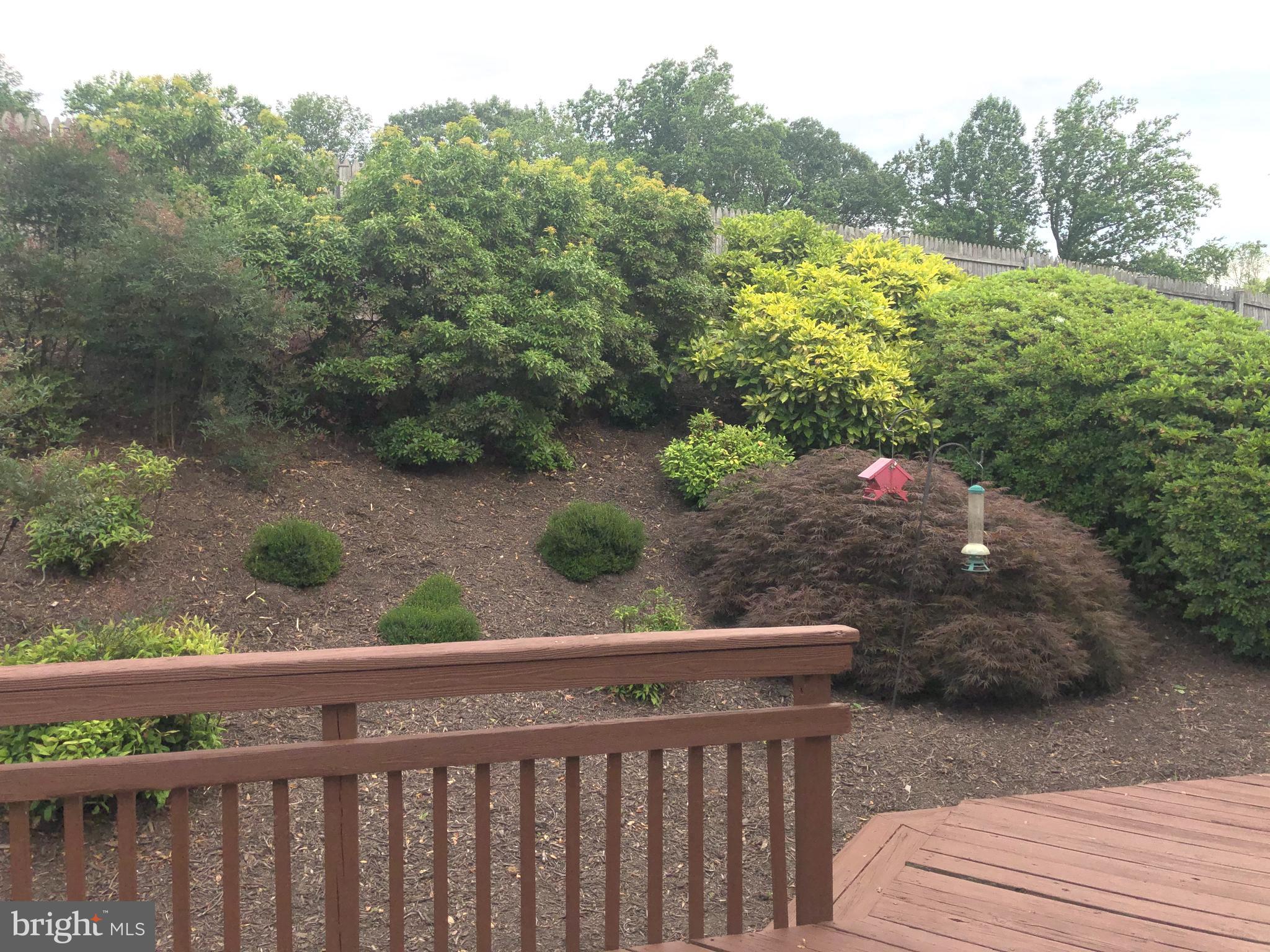 7327 Yates Court McLean, VA 22101 - Photo 31 of 34 Lush landscaping
