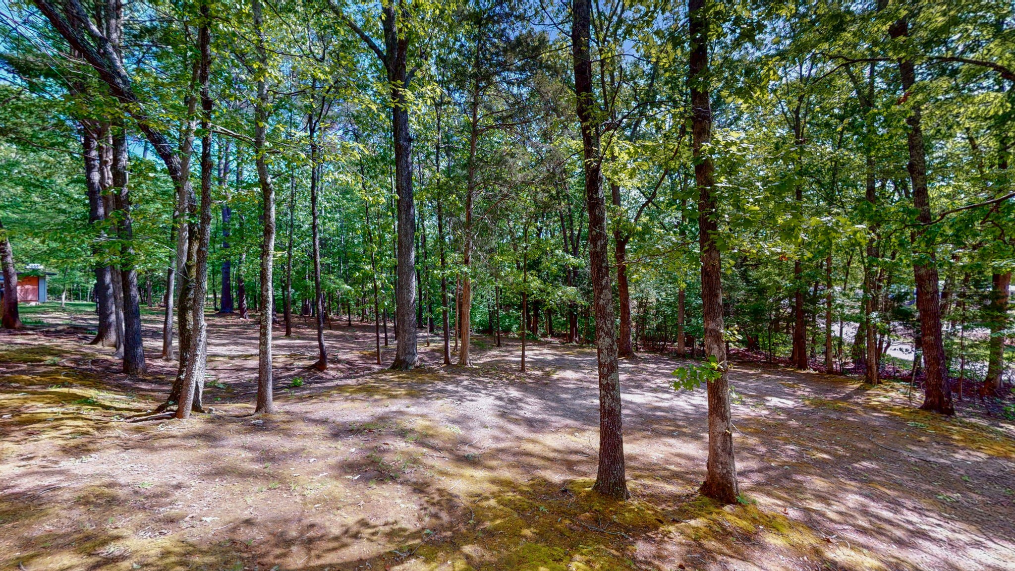 35 Davis Road Springville, TN 38256 - Photo 43 of 50 Gallery Image 43