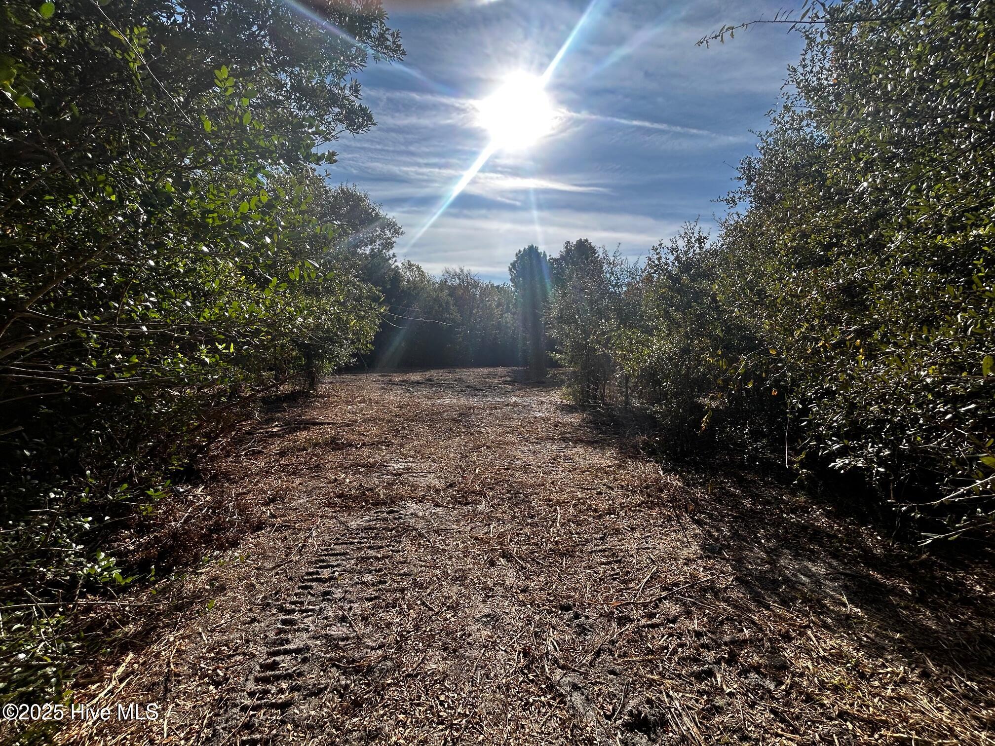 110 Brandon Avenue Hubert, NC 28539 - Photo 4 of 19 IMG_0841