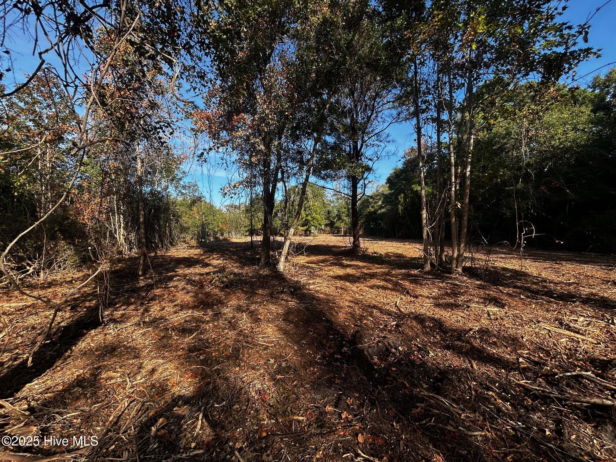 110 Brandon Avenue Hubert, NC 28539 - Photo 5 of 19 IMG_0842