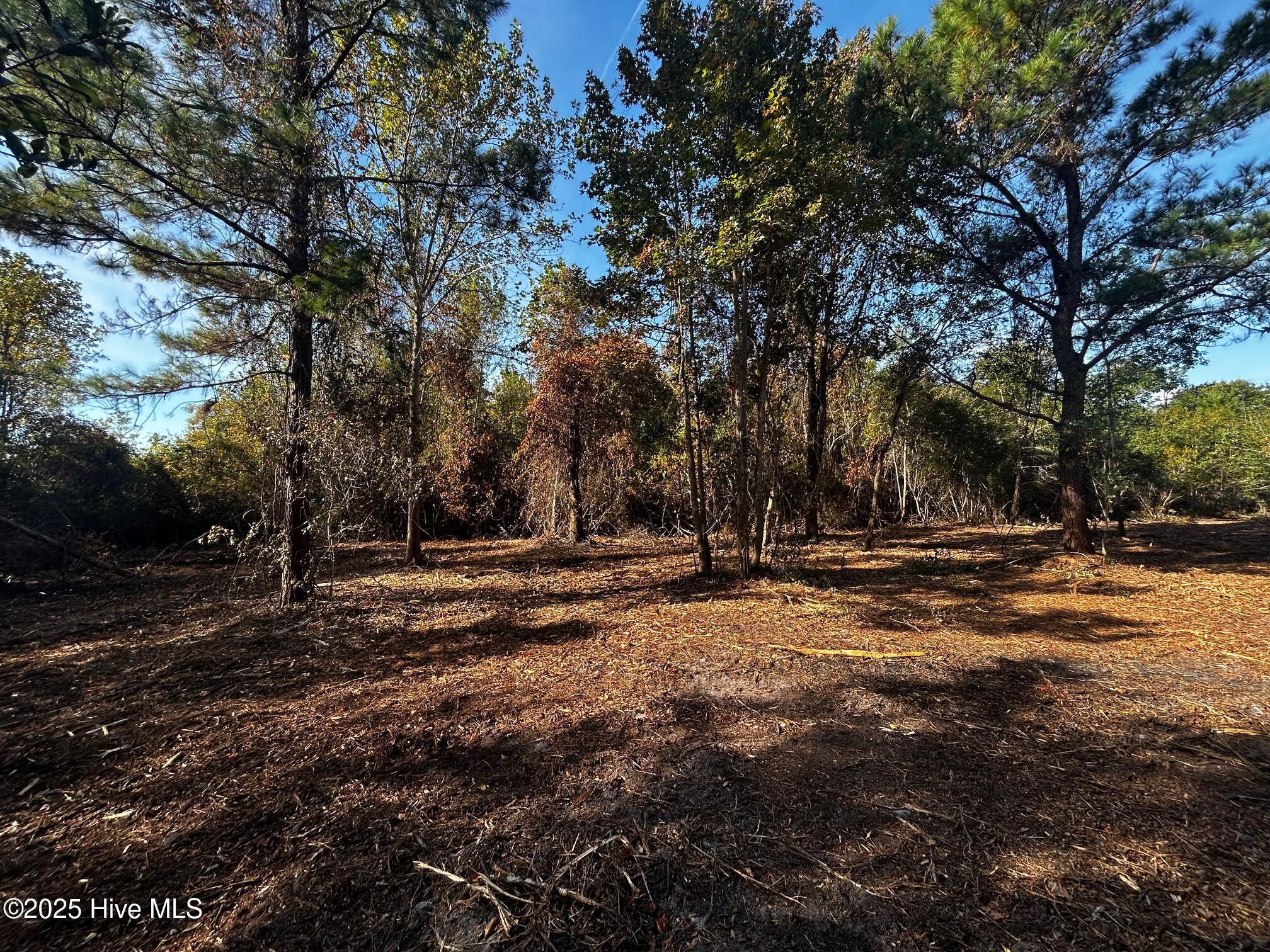 110 Brandon Avenue Hubert, NC 28539 - Photo 6 of 19 IMG_0843