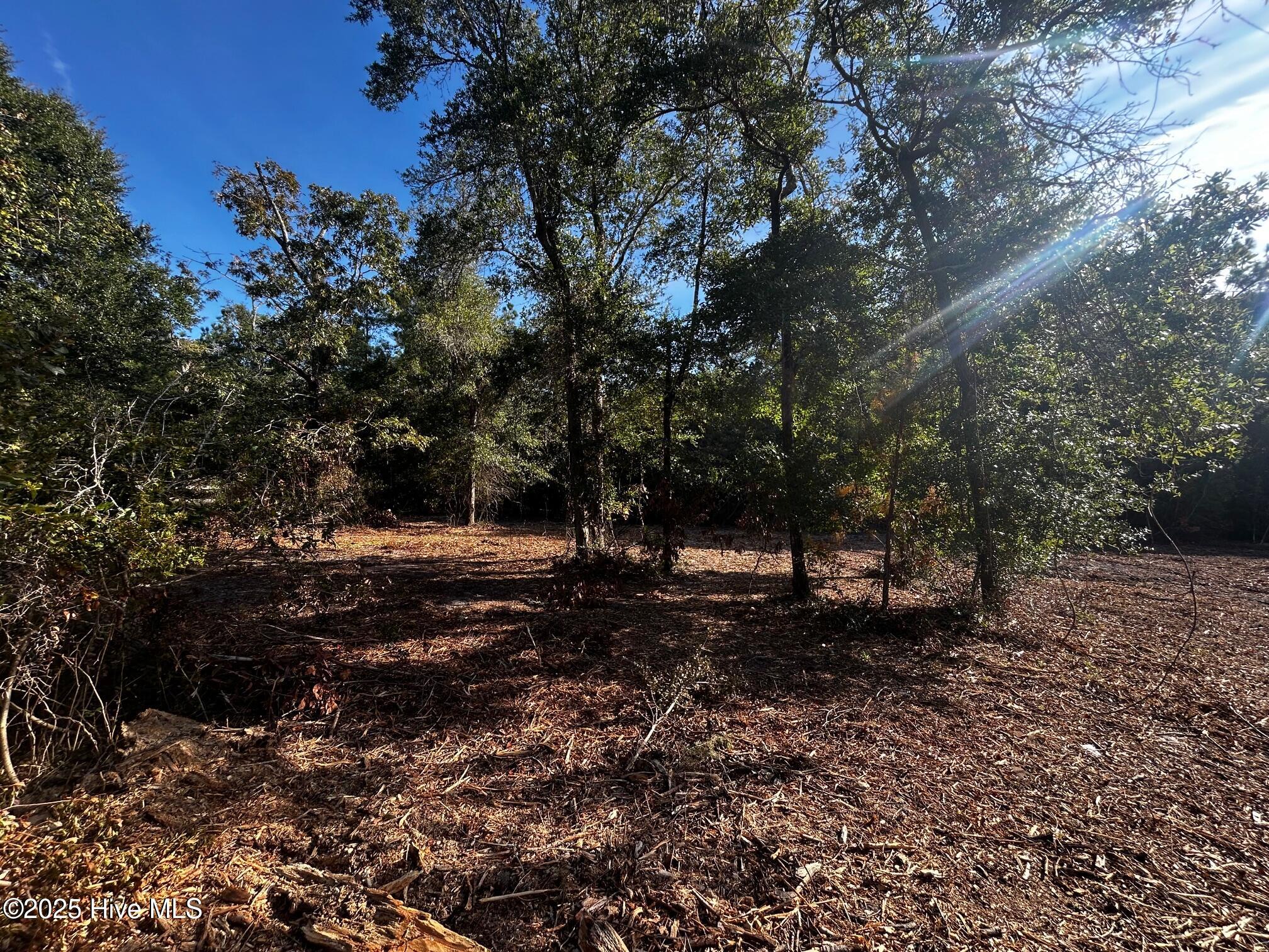 110 Brandon Avenue Hubert, NC 28539 - Photo 8 of 19 IMG_0845