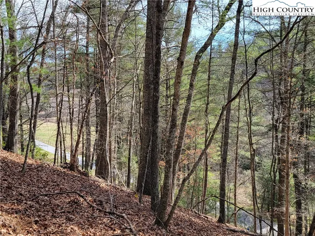 a view of a yard with a flower in a garden