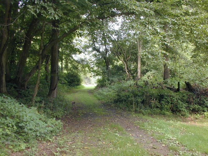 2510 Redington Road Bethlehem, PA 18015 - Photo 6 of 18 Path to Second Field