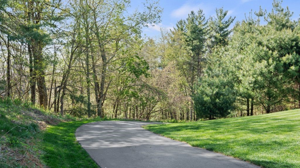 713 Kalmia Lane Boone, NC 28607 - Photo 44 of 50 a view of a yard with a tree