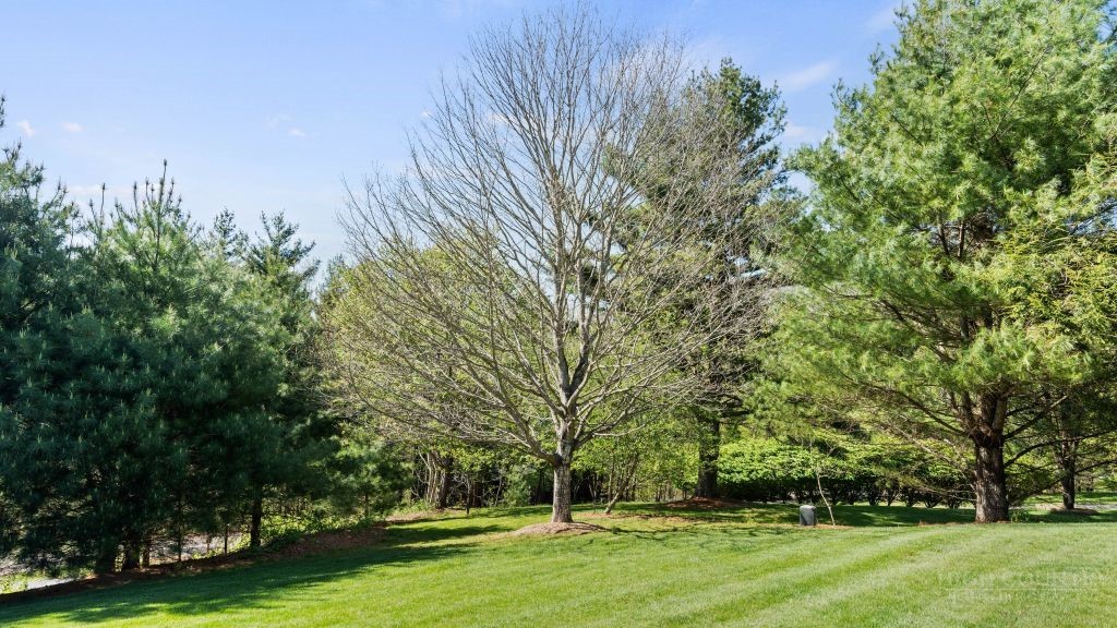 713 Kalmia Lane Boone, NC 28607 - Photo 48 of 50 a view of a park with large trees