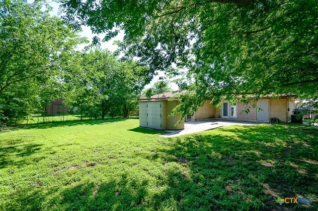 a view of a garden with large trees