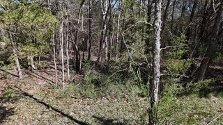 6790 Flat Creek Road College Grove, TN 37046 - Photo 8 of 26