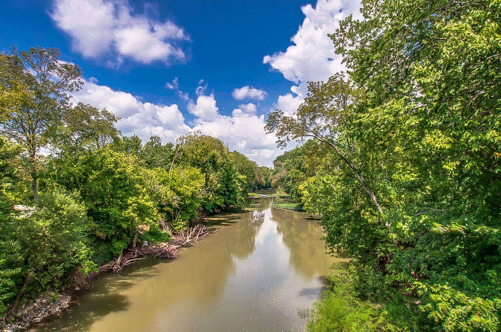 1090 General George Patton Road Nashville, TN 37221 - Photo 48 of 52